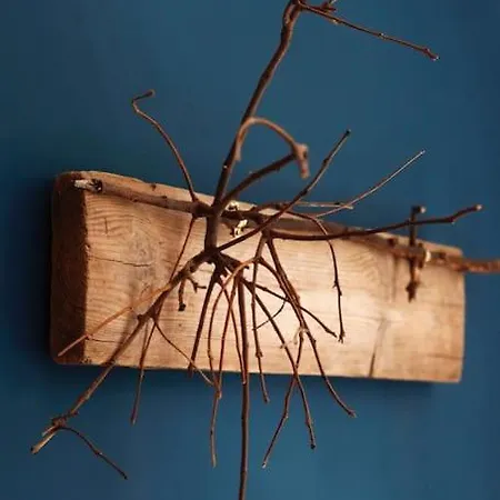 Olimpica Next To & Garden